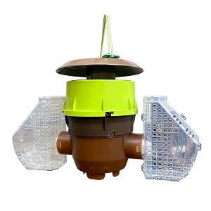 Piège sélectif frelon asiatique marque beevital
